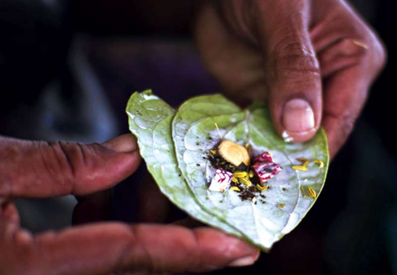 nhai trầu gây ung thư miệng